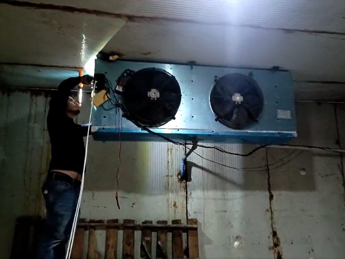 Technician on a ladder servicing a twin-fan evaporator mounted high in a cold room